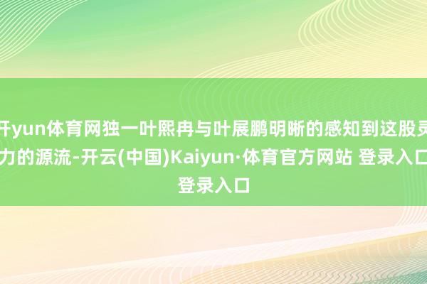 开yun体育网独一叶熙冉与叶展鹏明晰的感知到这股灵力的源流-开云(中国)Kaiyun·体育官方网站 登录入口