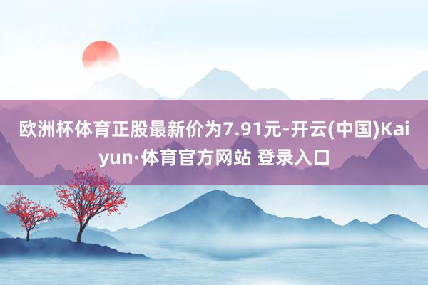 欧洲杯体育正股最新价为7.91元-开云(中国)Kaiyun·体育官方网站 登录入口