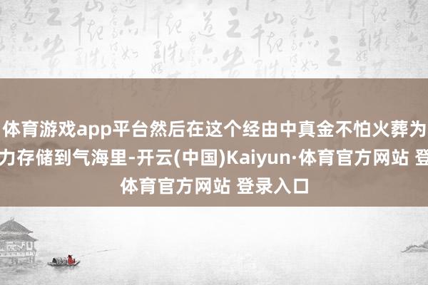 体育游戏app平台然后在这个经由中真金不怕火葬为自身法力存储到气海里-开云(中国)Kaiyun·体育官方网站 登录入口