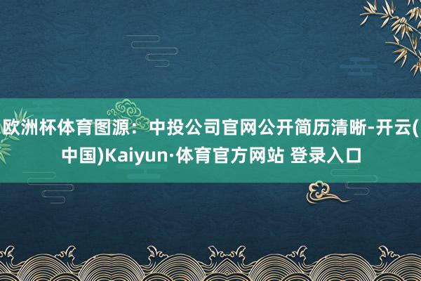 欧洲杯体育图源：中投公司官网　　公开简历清晰-开云(中国)Kaiyun·体育官方网站 登录入口