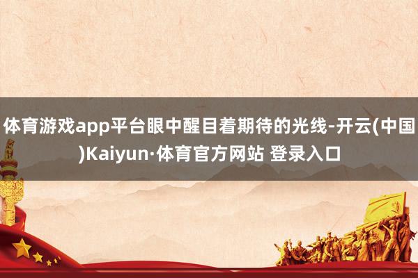 体育游戏app平台眼中醒目着期待的光线-开云(中国)Kaiyun·体育官方网站 登录入口