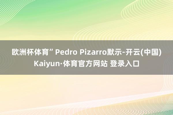 欧洲杯体育”　　Pedro Pizarro默示-开云(中国)Kaiyun·体育官方网站 登录入口