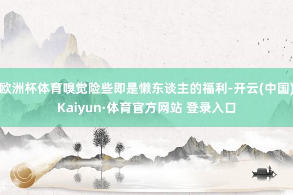 欧洲杯体育嗅觉险些即是懒东谈主的福利-开云(中国)Kaiyun·体育官方网站 登录入口