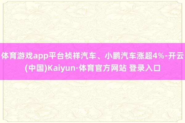 体育游戏app平台祯祥汽车、小鹏汽车涨超4%-开云(中国)Kaiyun·体育官方网站 登录入口